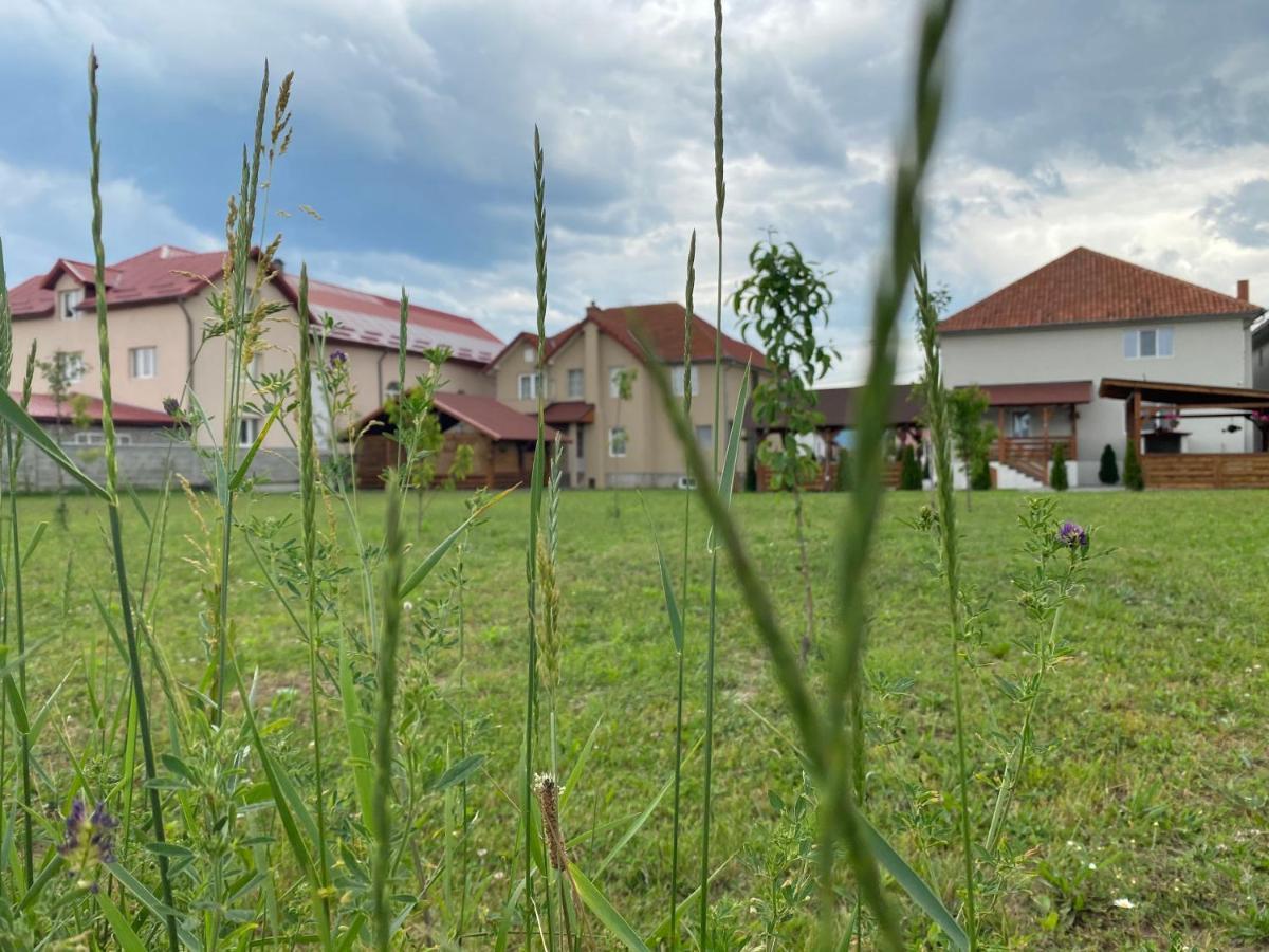 Absolut Residence Hateg Luaran gambar